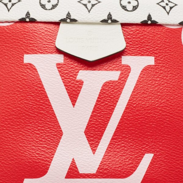 Louis Vuitton Multicolor Giant Monogram Canvas Bumbag - Image 4