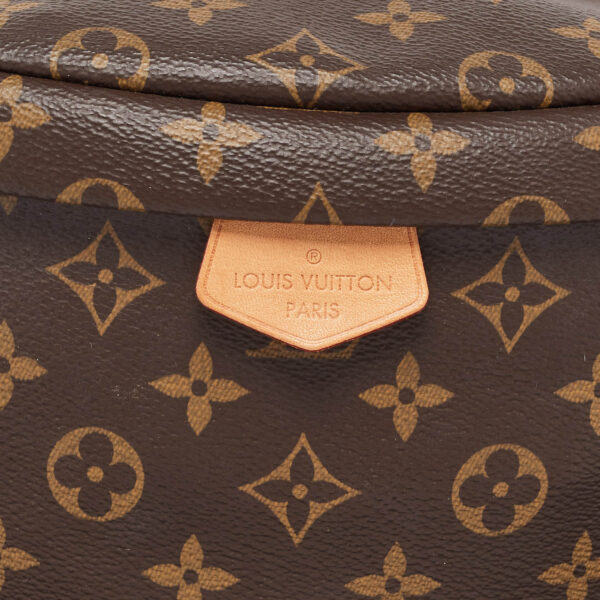 Louis Vuitton Monogram Canvas Fanny Pack Bumbag - Image 4