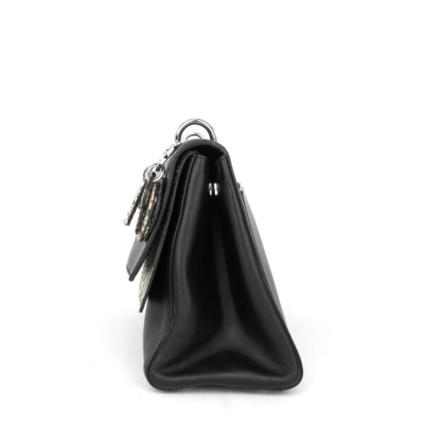 Be Dior Double Flap Calfskin and Python Bag - Image 2