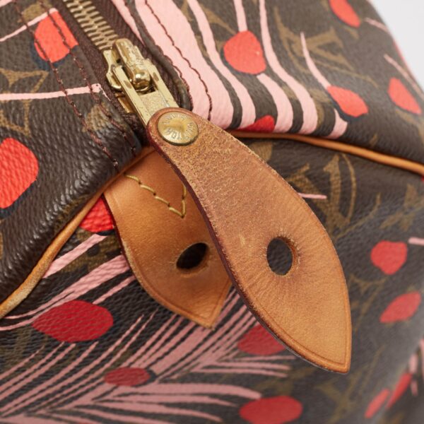 Louis Vuitton Monogram Canvas Limited Edition Jungle Dots Speedy 30 - Image 4